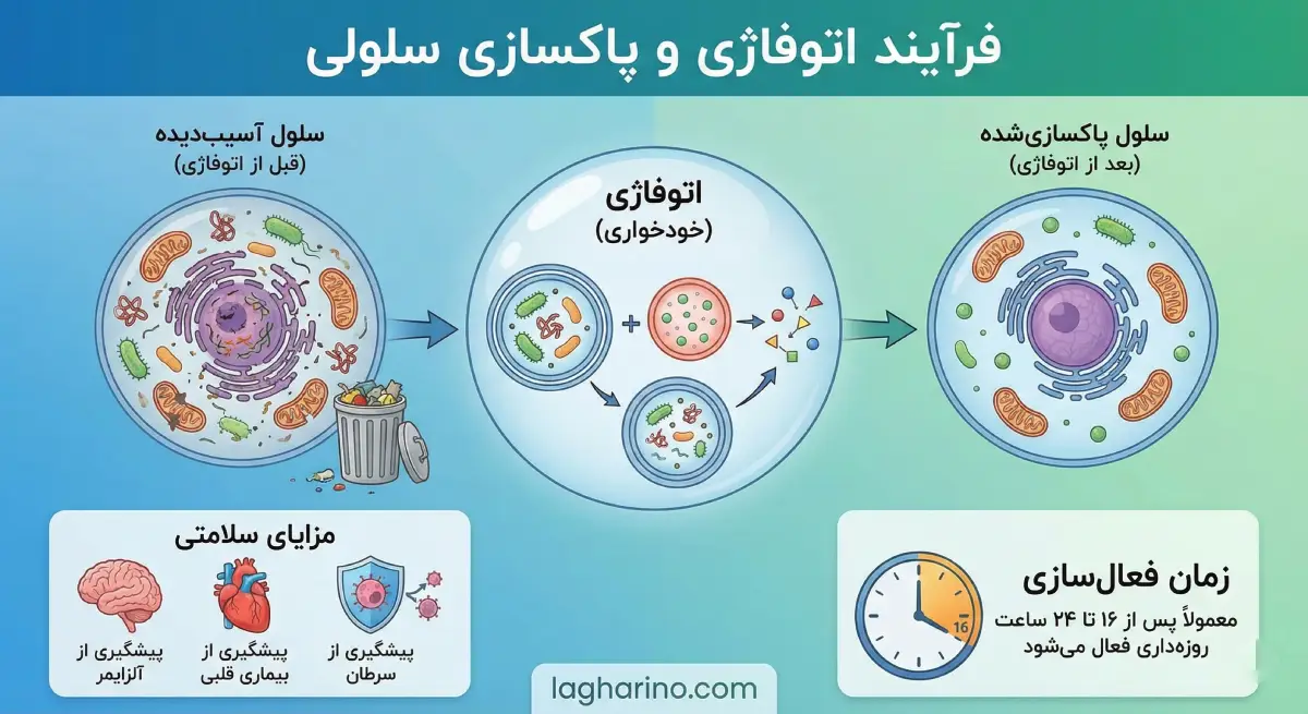 پیشگیری از سرطان در فستینگ