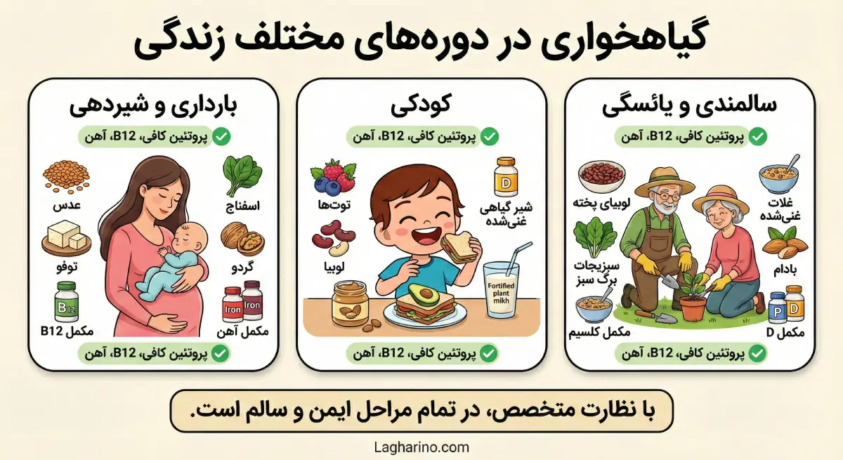 اینفوگرافیک مراحل زندگی - زن باردار، کودک، سالمند با غذاهای گیاهی مناسب هر مرحله